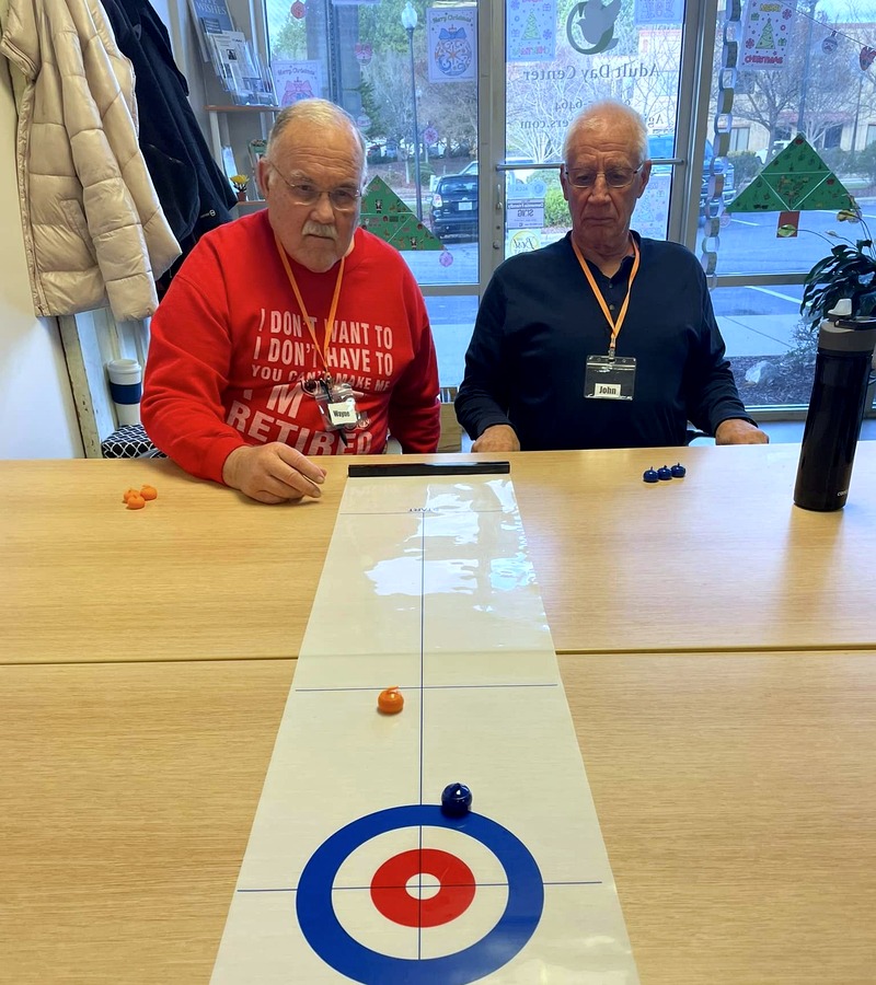 table-curling-game